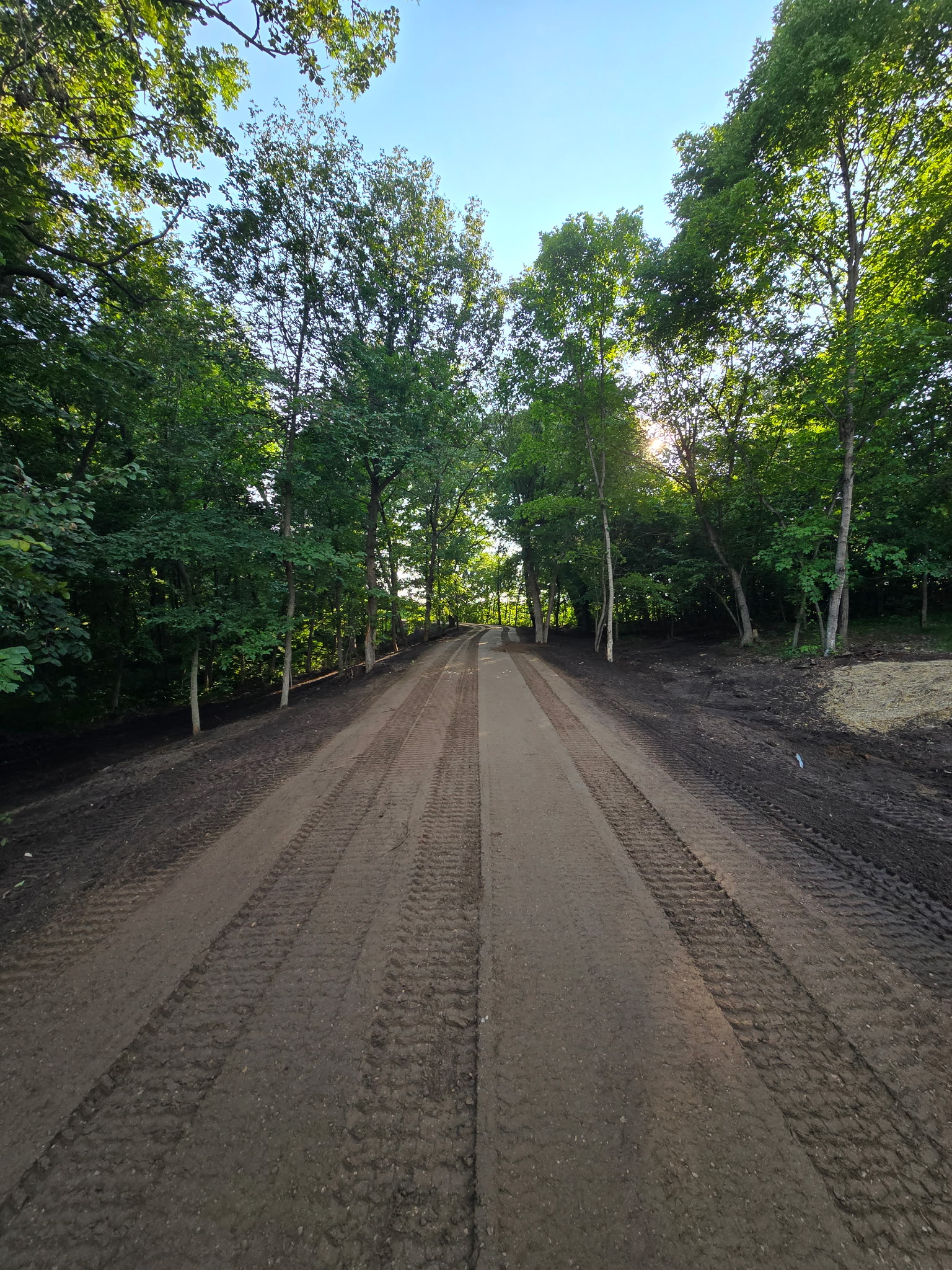 Freshly graded driveway winding through a wooded Northern Minnesota property